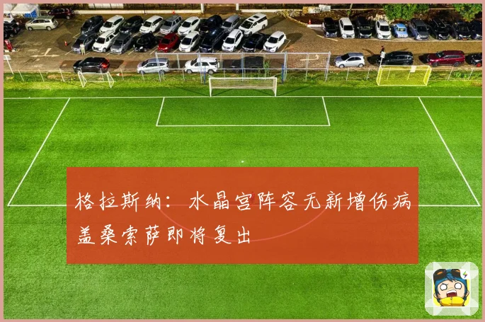 格拉斯纳：水晶宫阵容无新增伤病盖桑索萨即将复出
