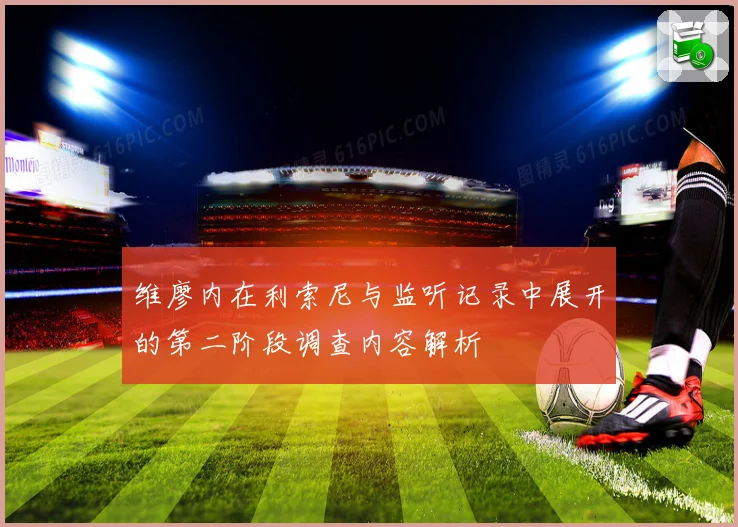 维廖内在利索尼与监听记录中展开的第二阶段调查内容解析