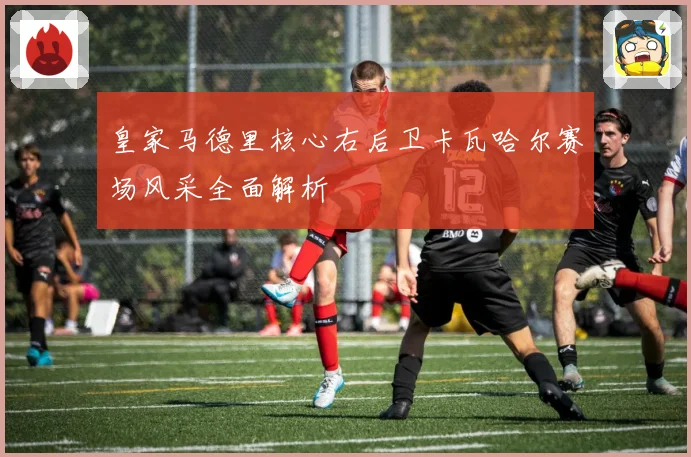 皇家马德里核心右后卫卡瓦哈尔赛场风采全面解析