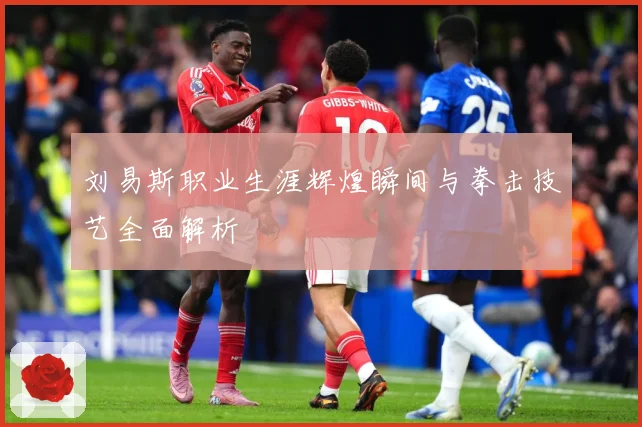 刘易斯职业生涯辉煌瞬间与拳击技艺全面解析