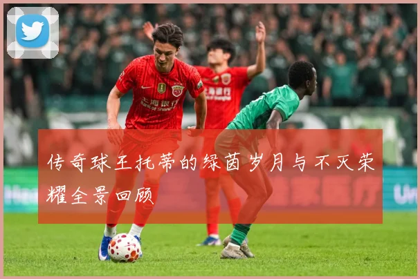 传奇球王托蒂的绿茵岁月与不灭荣耀全景回顾